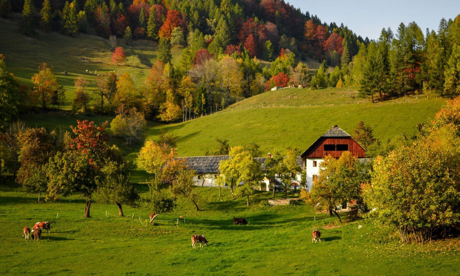 Apartment Idyllic Retreat Next To An Elven Forest *