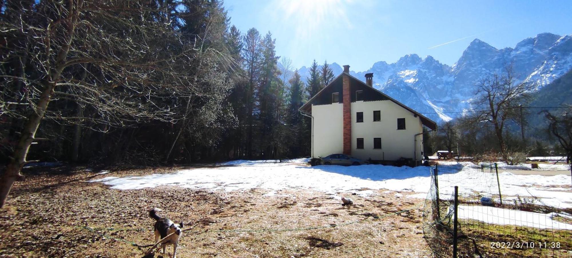 Idyllic Retreat Next To An Elven Forest Apartma *