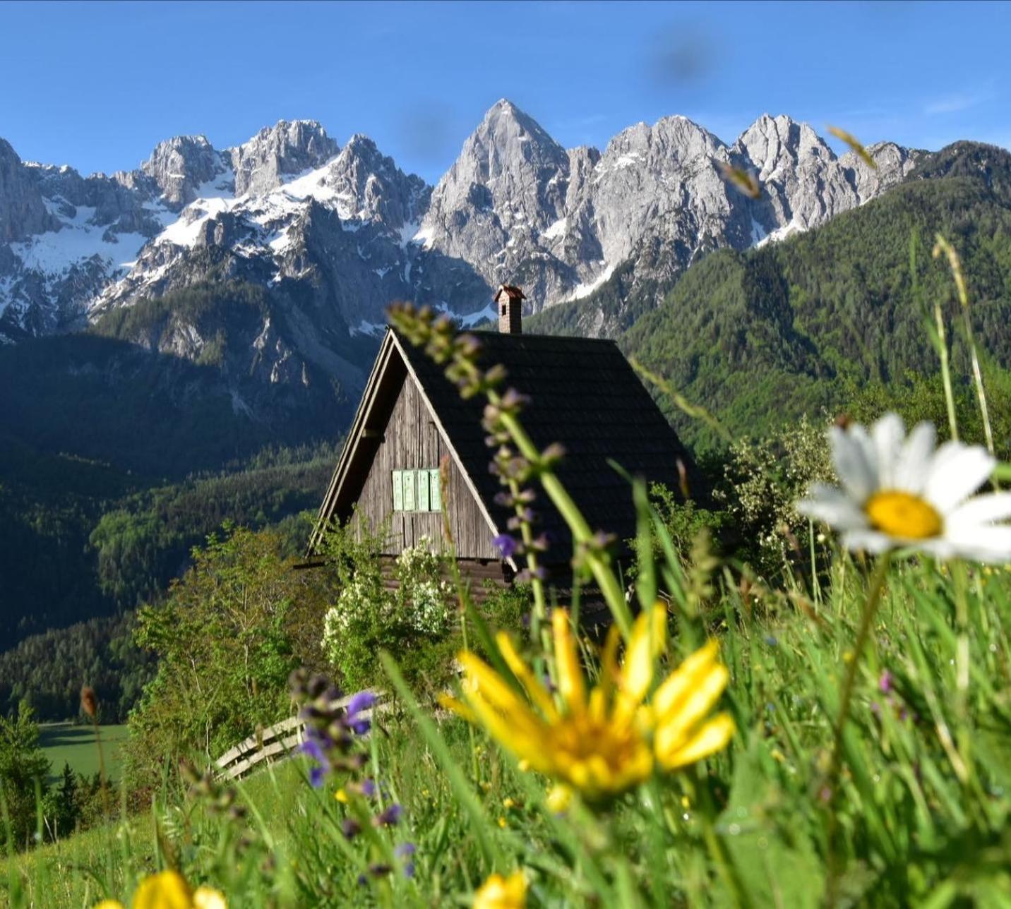 Apartma Idyllic Retreat Next To An Elven Forest *