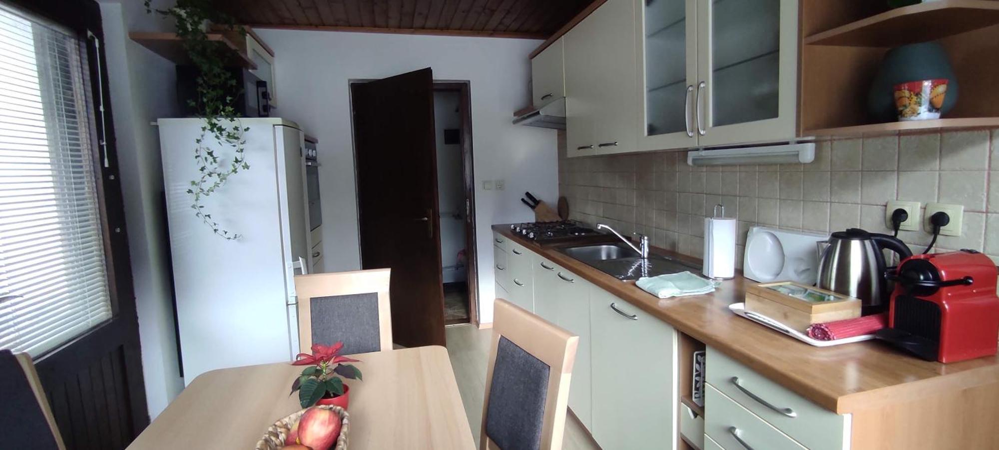 Apartment Idyllic Retreat Next To An Elven Forest Gozd Martuljek